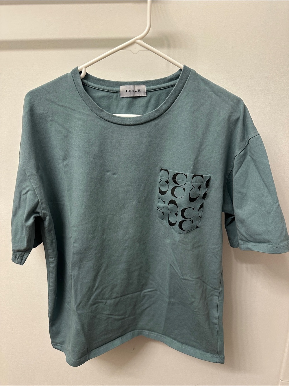 Coach Short Sleeve Pocket Tee in Dusty Teal Green